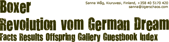 Boxer Revolution vom German Dream