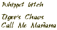 Whippet bitch - Tiger's Chaos Call Me Ma�ana