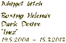 Boxer male - Revolution vom German Dream 30.4.2005 - 23.4.2012