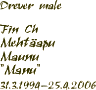Drever male - Mehtapu Maunu- "Manu" - 31.3.1994 - 25.4.2006
