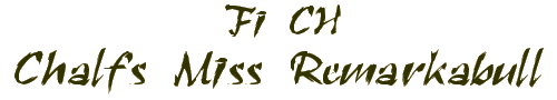 Chalfs Miss Remarkabull