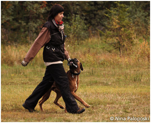 Revolution vom German Dream in September 2008