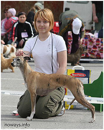 Tiger's Chaos Special Plaudite at ca. 6,5 years of age