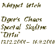 Tiger's Chaos Special Skyline in Memoriam