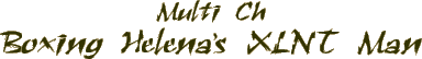 Multi CH Boxing Helena's XLNT Man