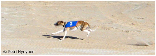 Boxing Helena's B Supa Chaos 10.9.2005