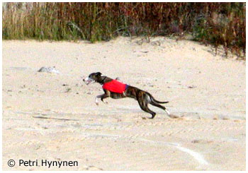 Plaudite Night Sky 10.9.2005